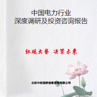 中國電力行業(yè)深度調研及投資咨詢報告