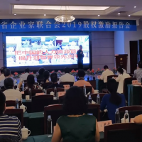 安徽企聯(lián)2019股權(quán)激勵(lì)報(bào)告會(huì)召開(kāi)！